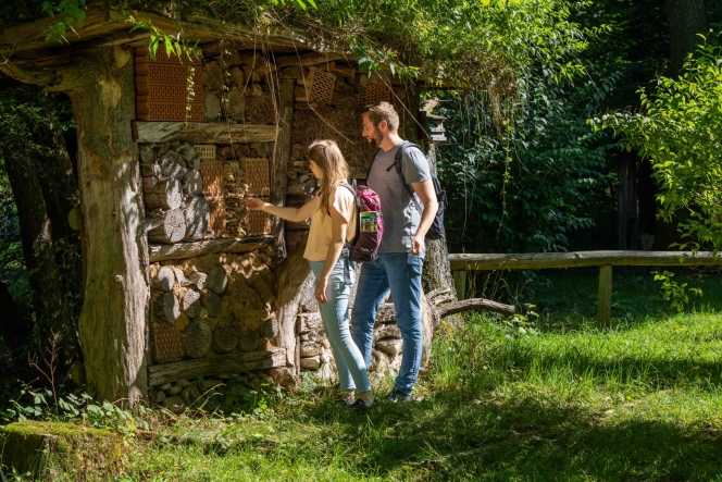 Waldhaus in Altenbeken ©Teutoburger Wald Tourismus, P. Gawandtka